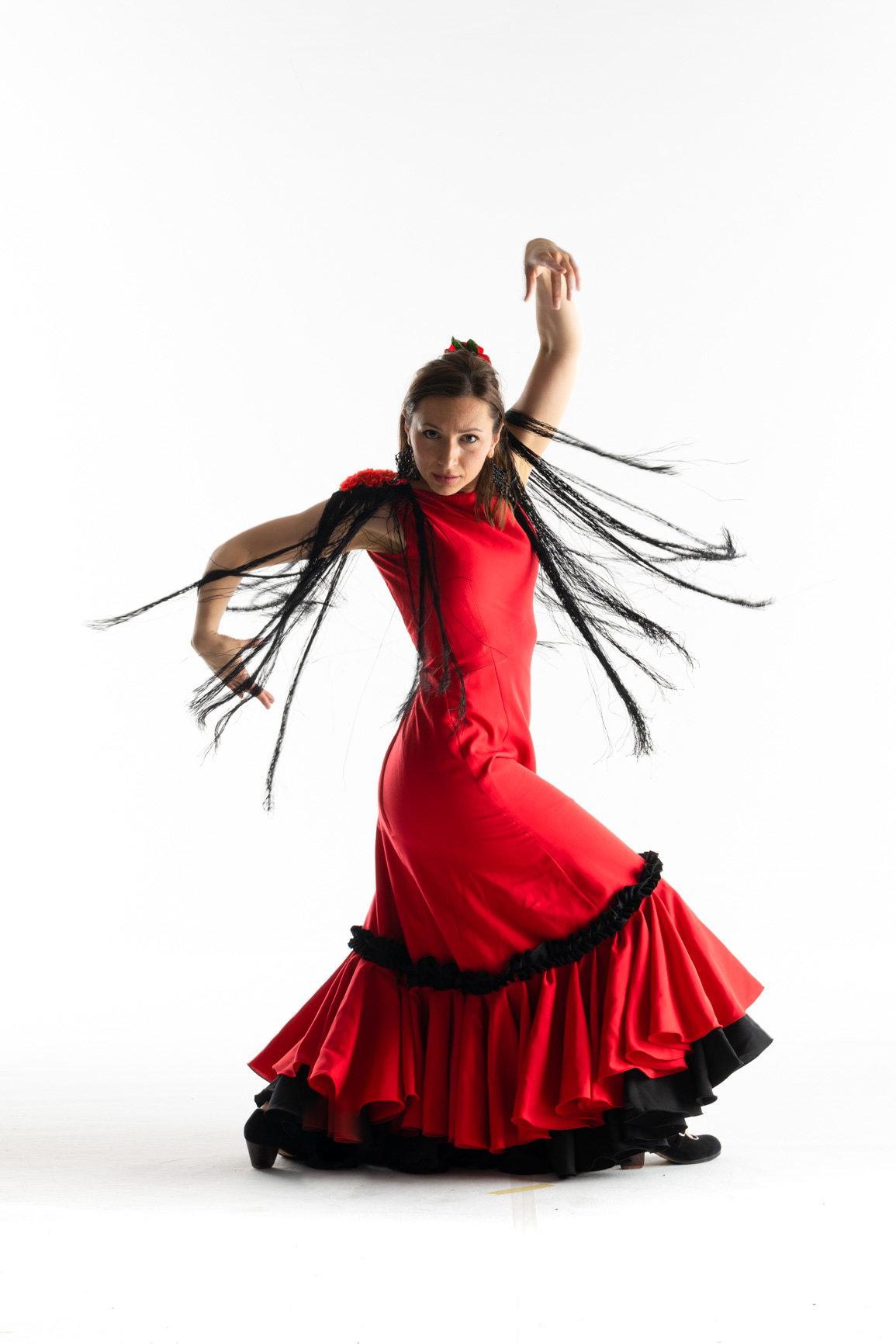 Flamenco Arles